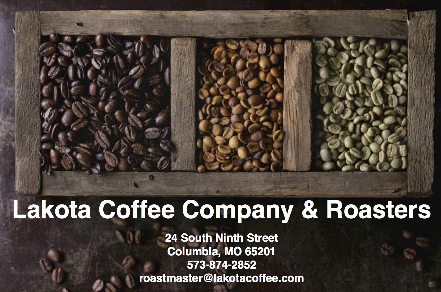 specialty green coffee importers